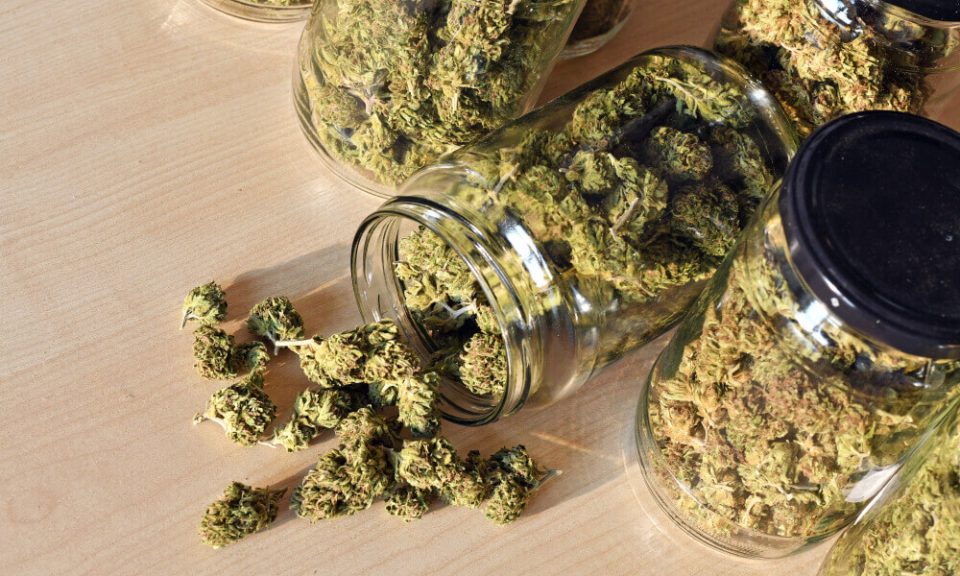 cannabis